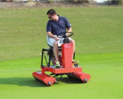 Rollen van de greens